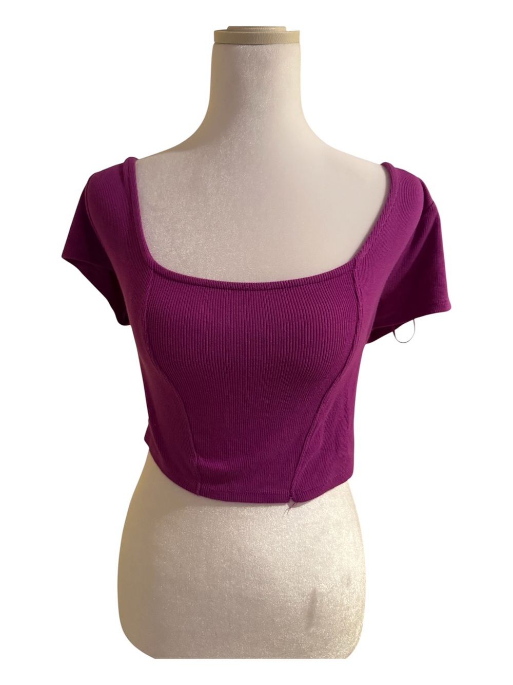 Garage Purple Ribbed Square Neck Seam Detail Cap Sleeve Crop Top Size Large